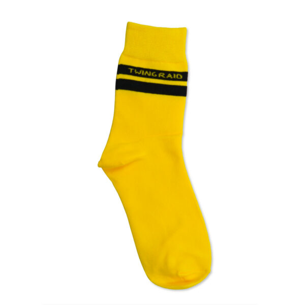 Chaussettes-Twing-Raid